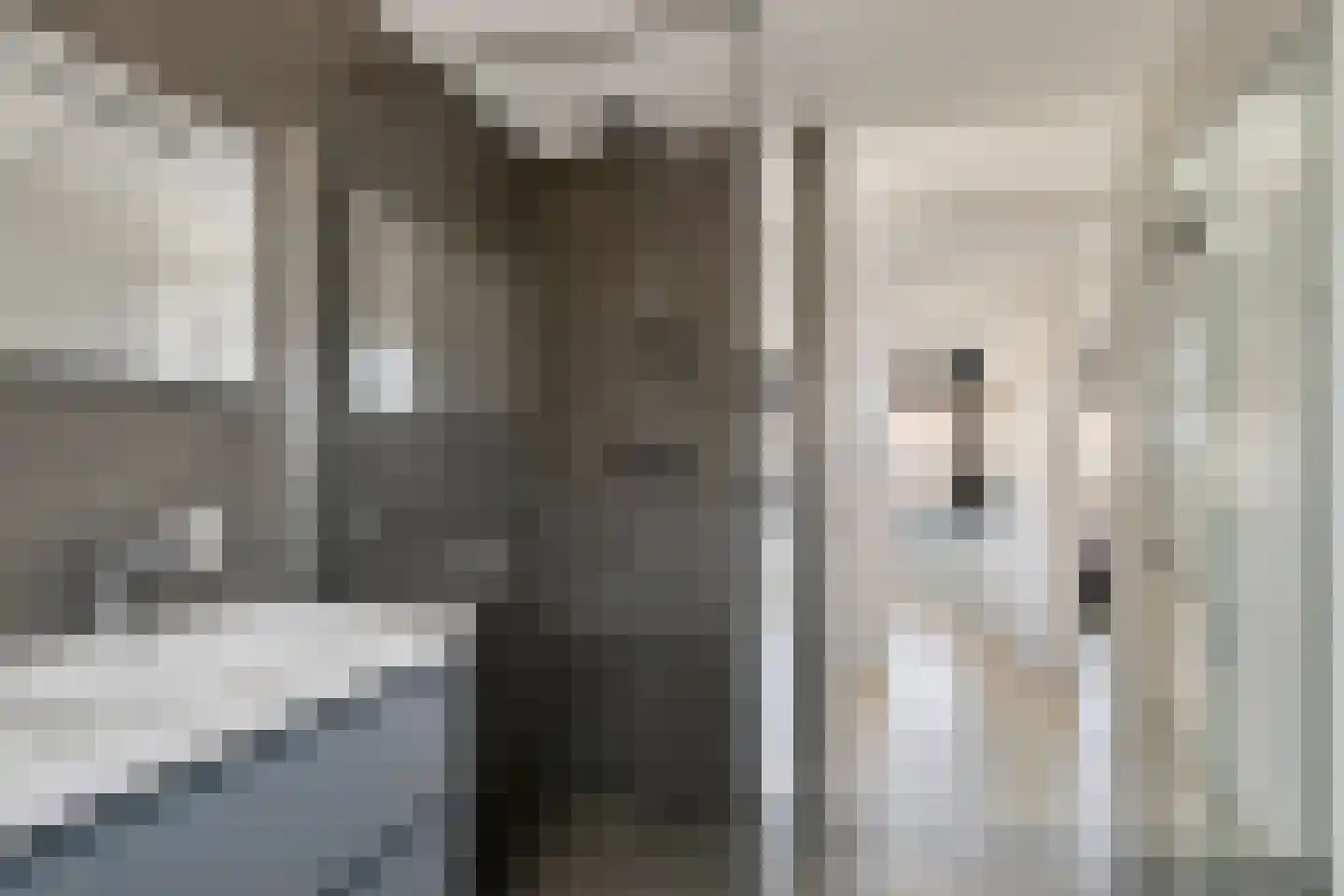 De Spoelerij 20 Tiel thumbnail 16