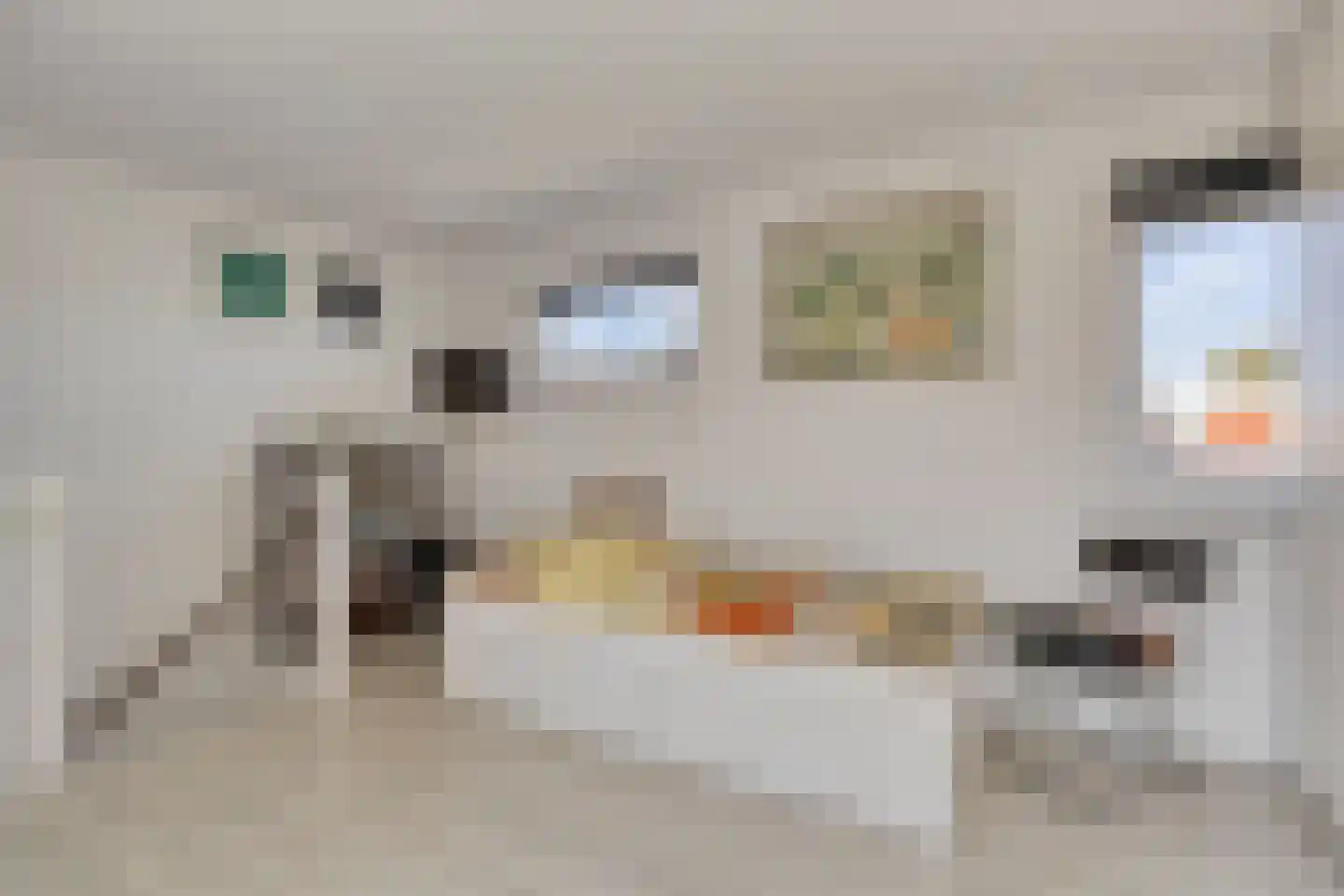 De Spoelerij 20 Tiel thumbnail 22