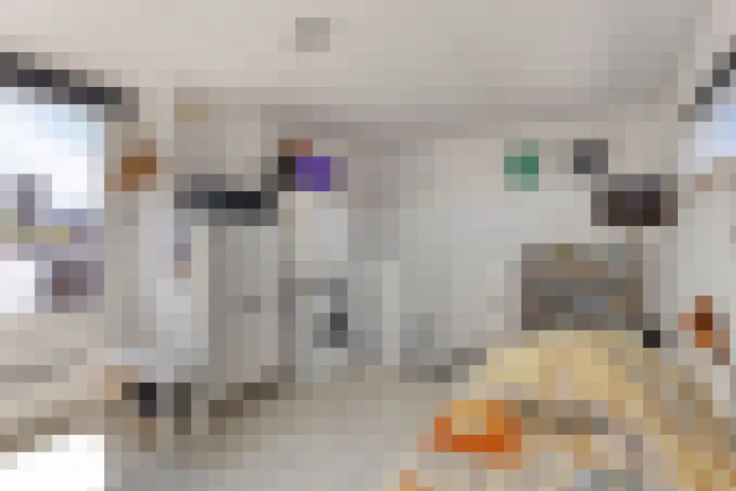 De Spoelerij 20 Tiel thumbnail 23