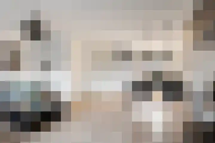 De Spoelerij 21 Tiel thumbnail 11