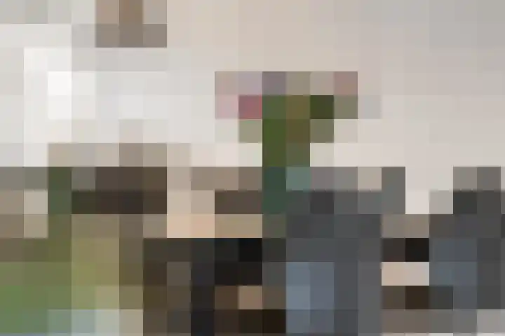 De Spoelerij 21 Tiel thumbnail 12