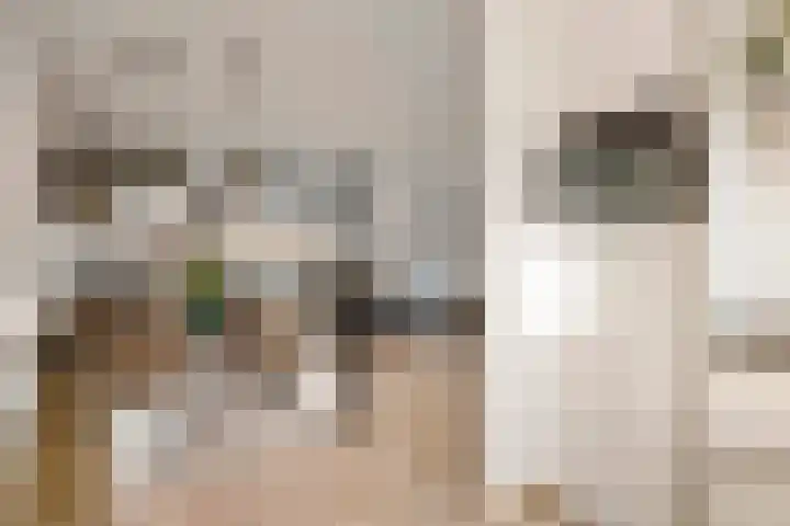 De Spoelerij 21 Tiel thumbnail 15