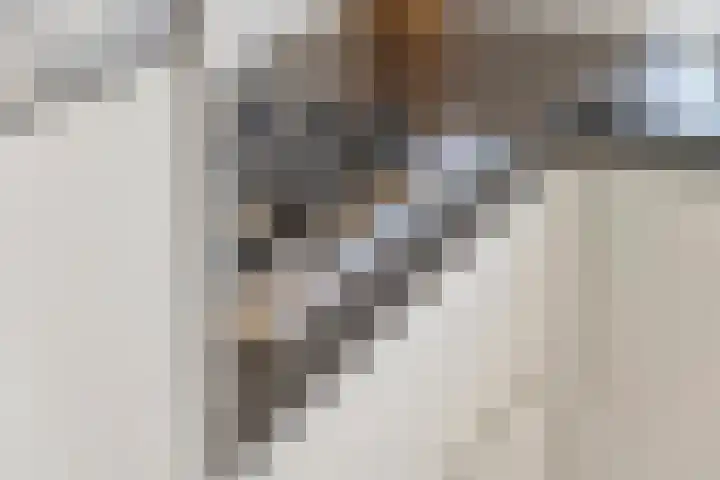 De Spoelerij 21 Tiel thumbnail 16