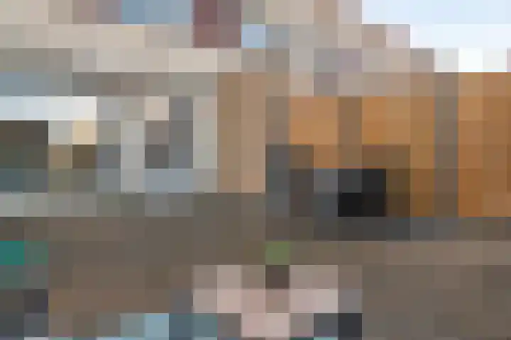 De Spoelerij 21 Tiel thumbnail 21