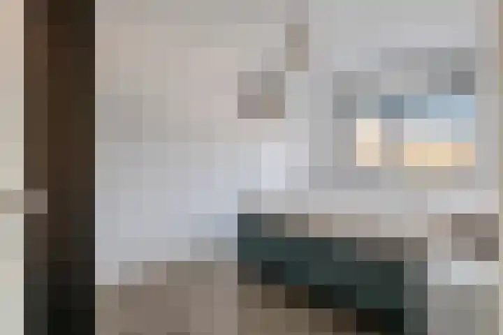 De Spoelerij 21 Tiel thumbnail 24