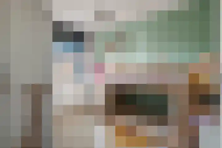 De Spoelerij 21 Tiel thumbnail 27