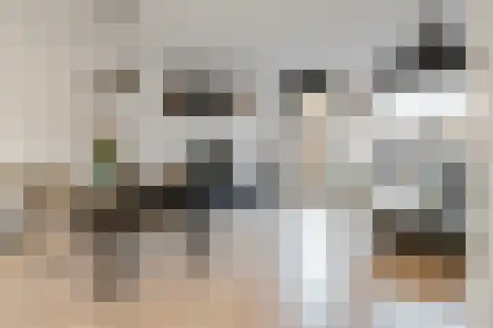 De Spoelerij 21 Tiel thumbnail 8