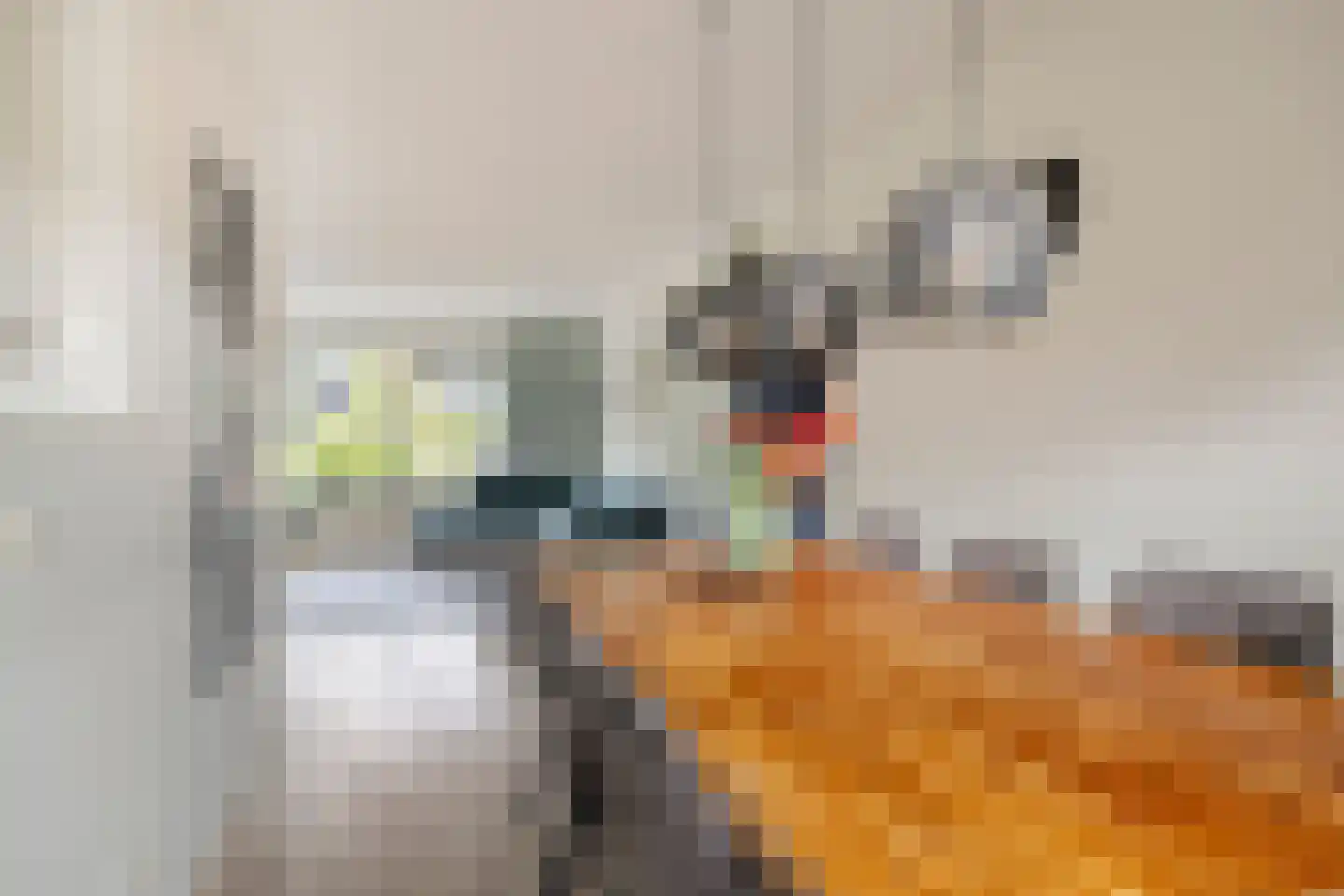 De Sporen 22 Zuidlaren thumbnail 12