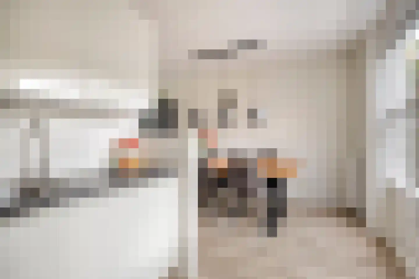 De Sporen 22 Zuidlaren thumbnail 14