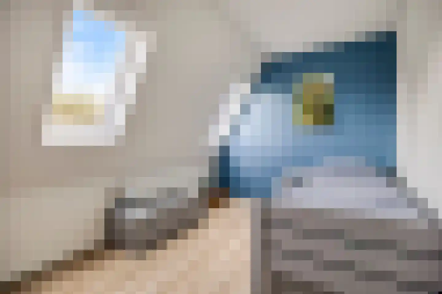 De Sporen 22 Zuidlaren thumbnail 28