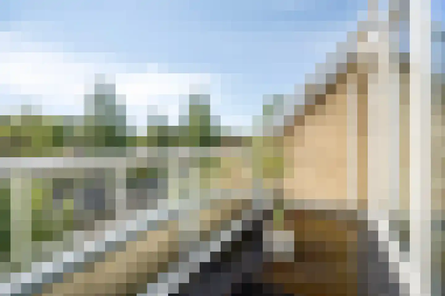 De Sporen 22 Zuidlaren thumbnail 29