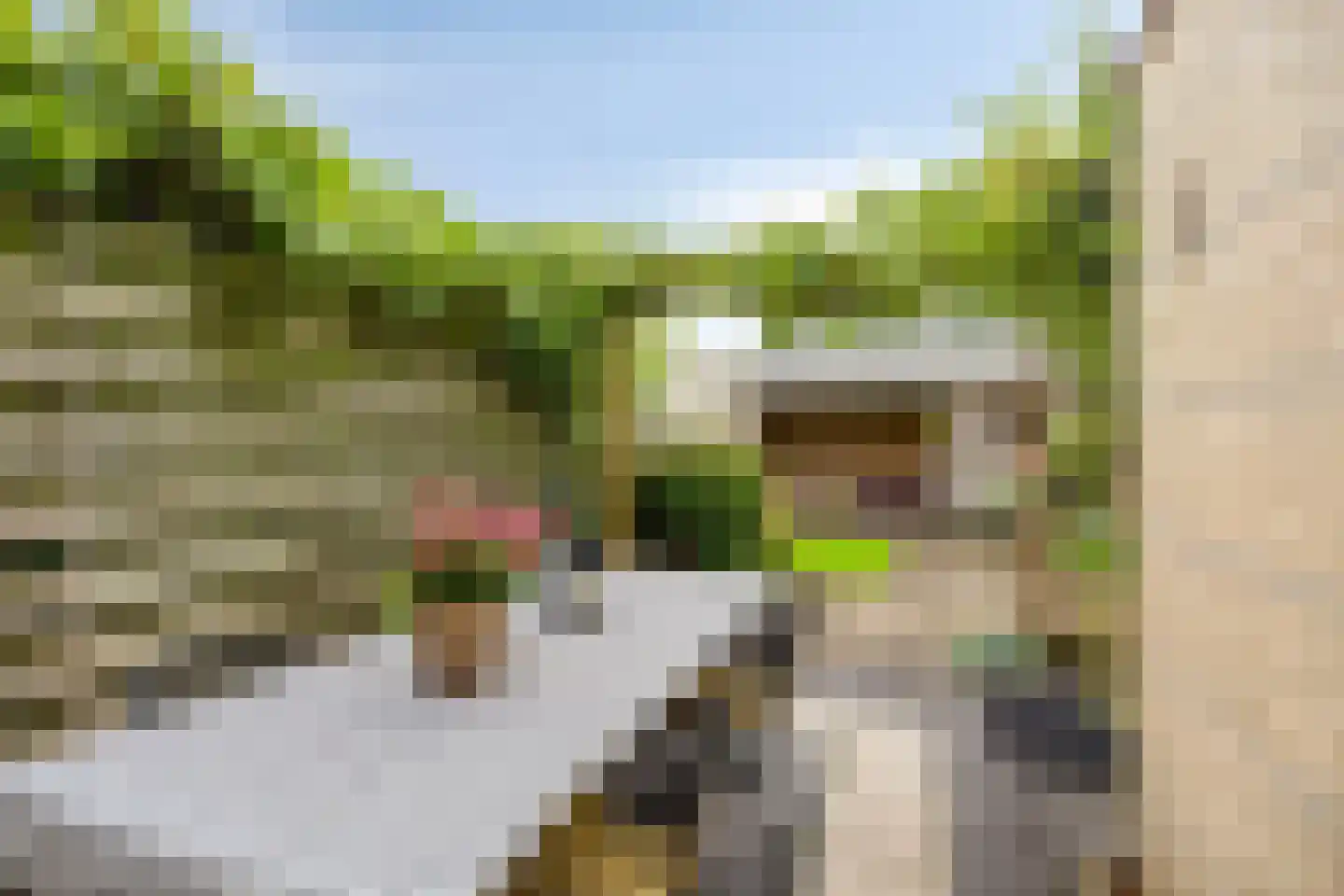De Sporen 22 Zuidlaren thumbnail 30