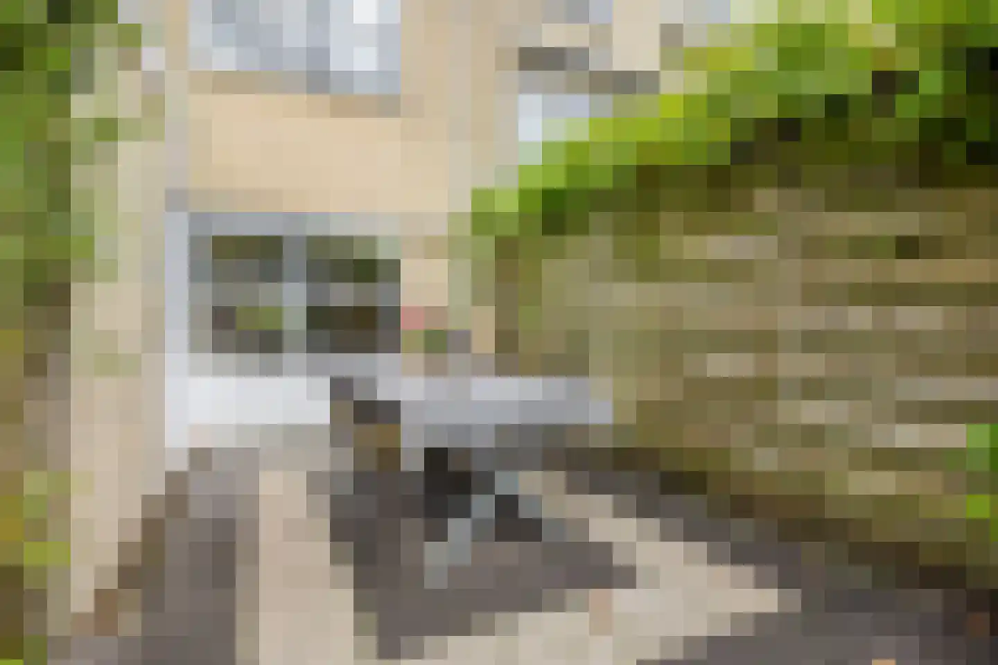 De Sporen 22 Zuidlaren thumbnail 32