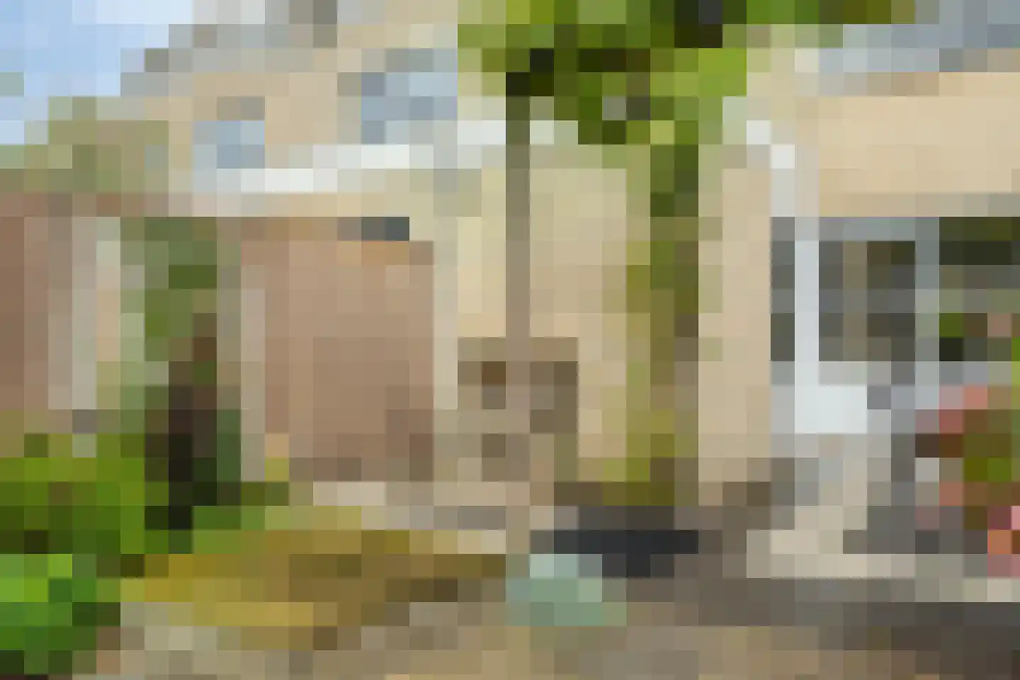 De Sporen 22 Zuidlaren thumbnail 34