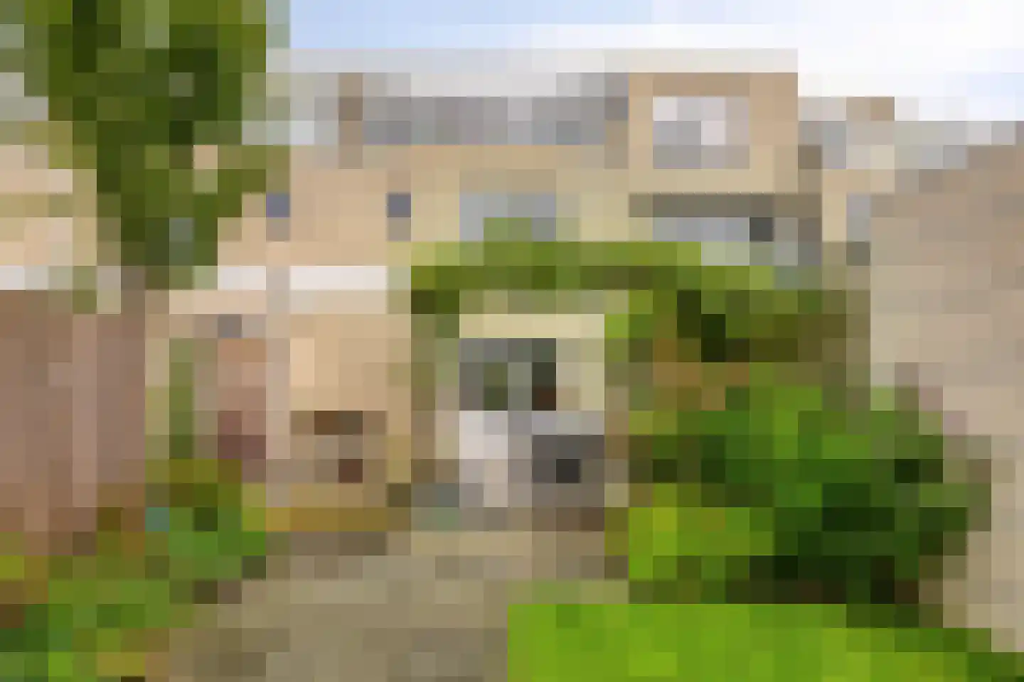 De Sporen 22 Zuidlaren thumbnail 35