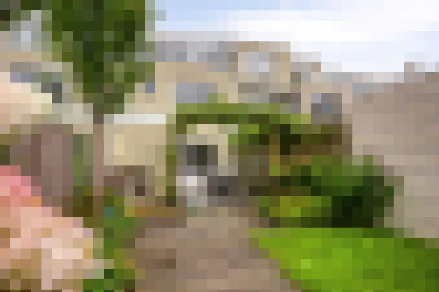 De Sporen 22 Zuidlaren thumbnail 36