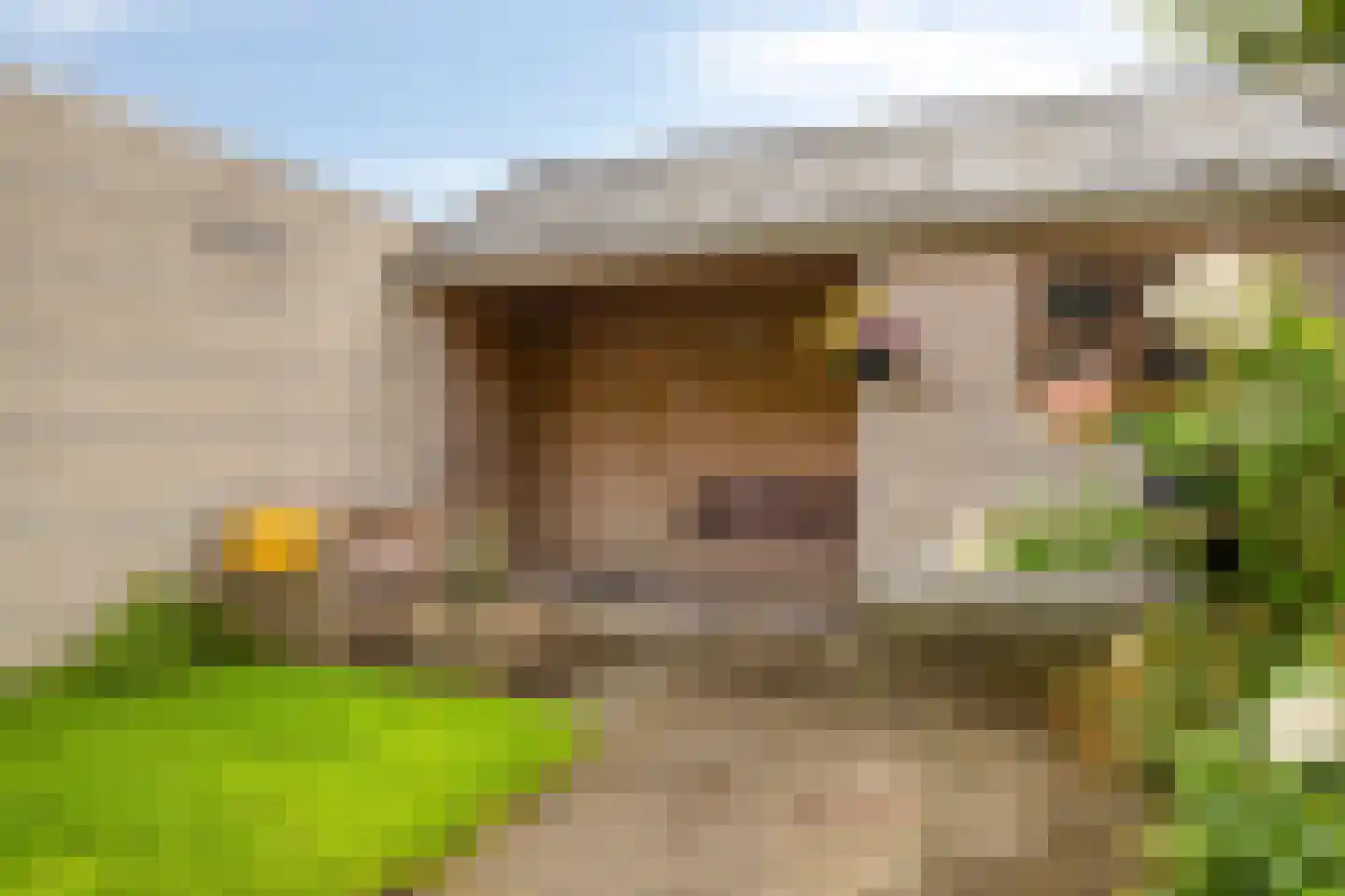 De Sporen 22 Zuidlaren thumbnail 38