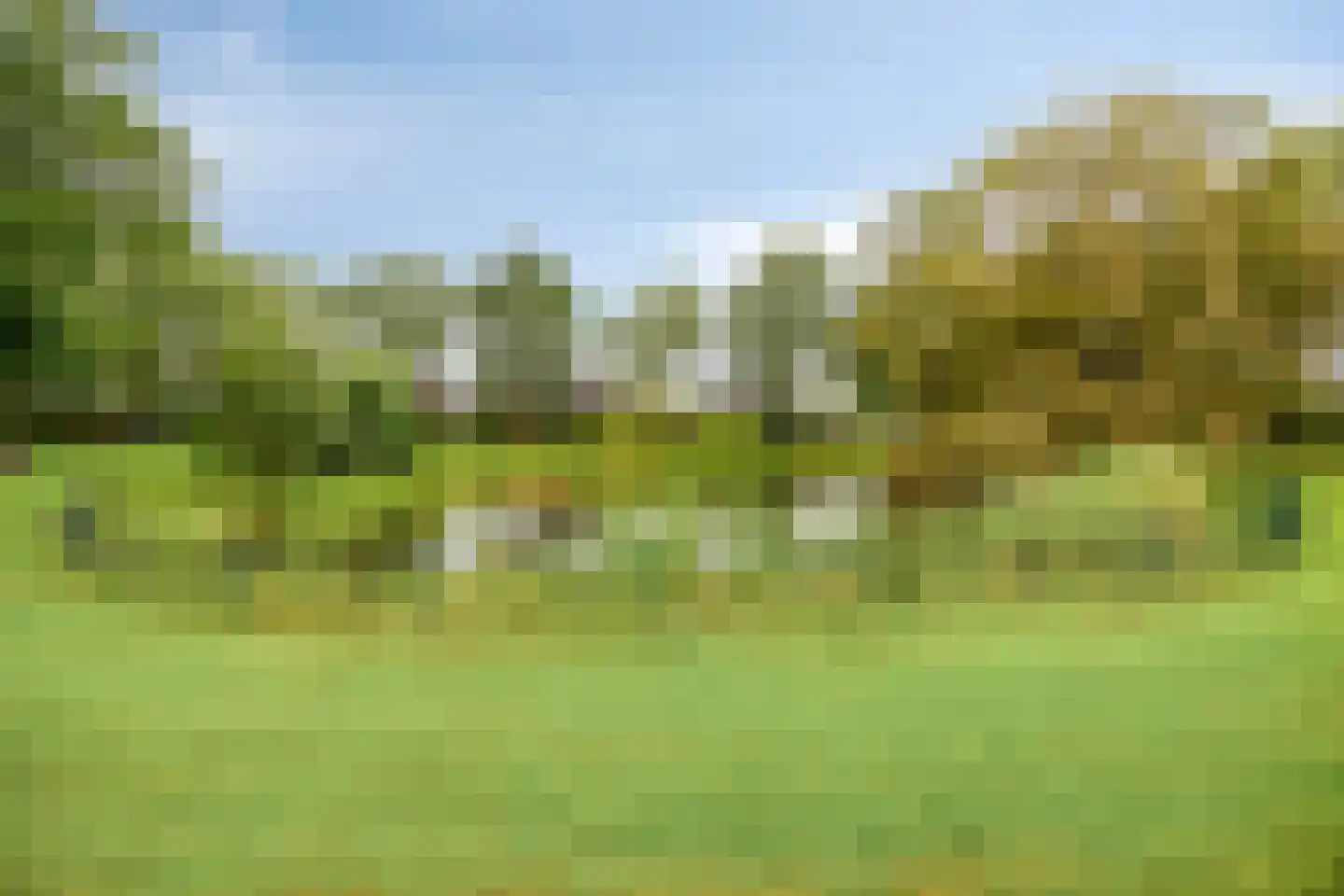 De Sporen 22 Zuidlaren thumbnail 45
