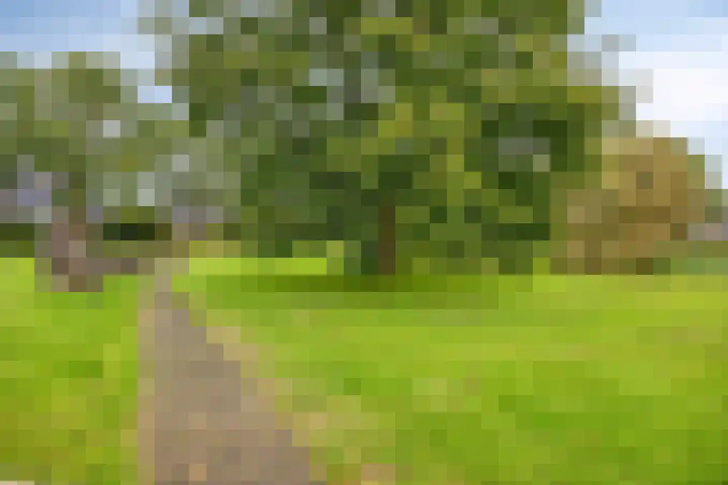 De Sporen 22 Zuidlaren thumbnail 46