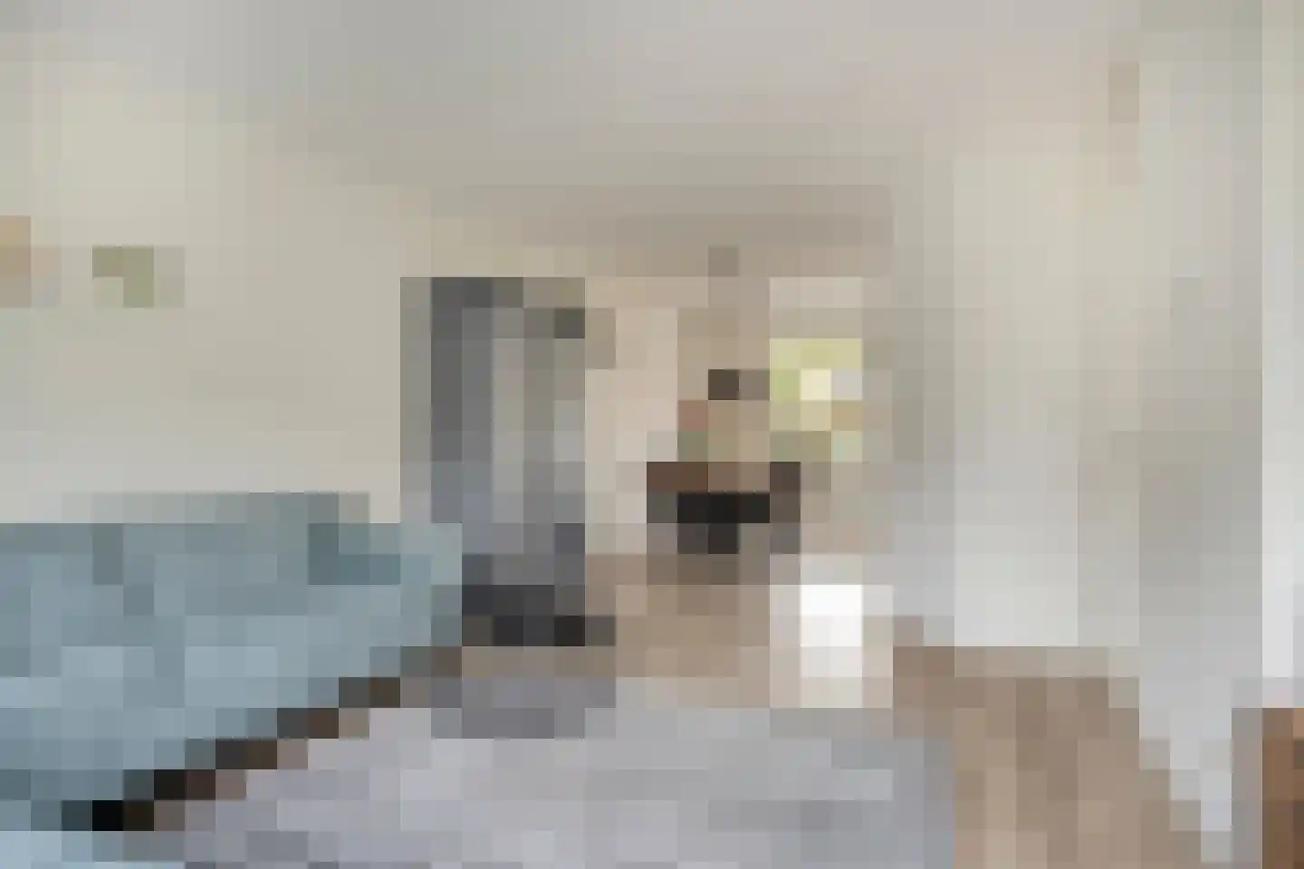 De Sporen 22 Zuidlaren thumbnail 9