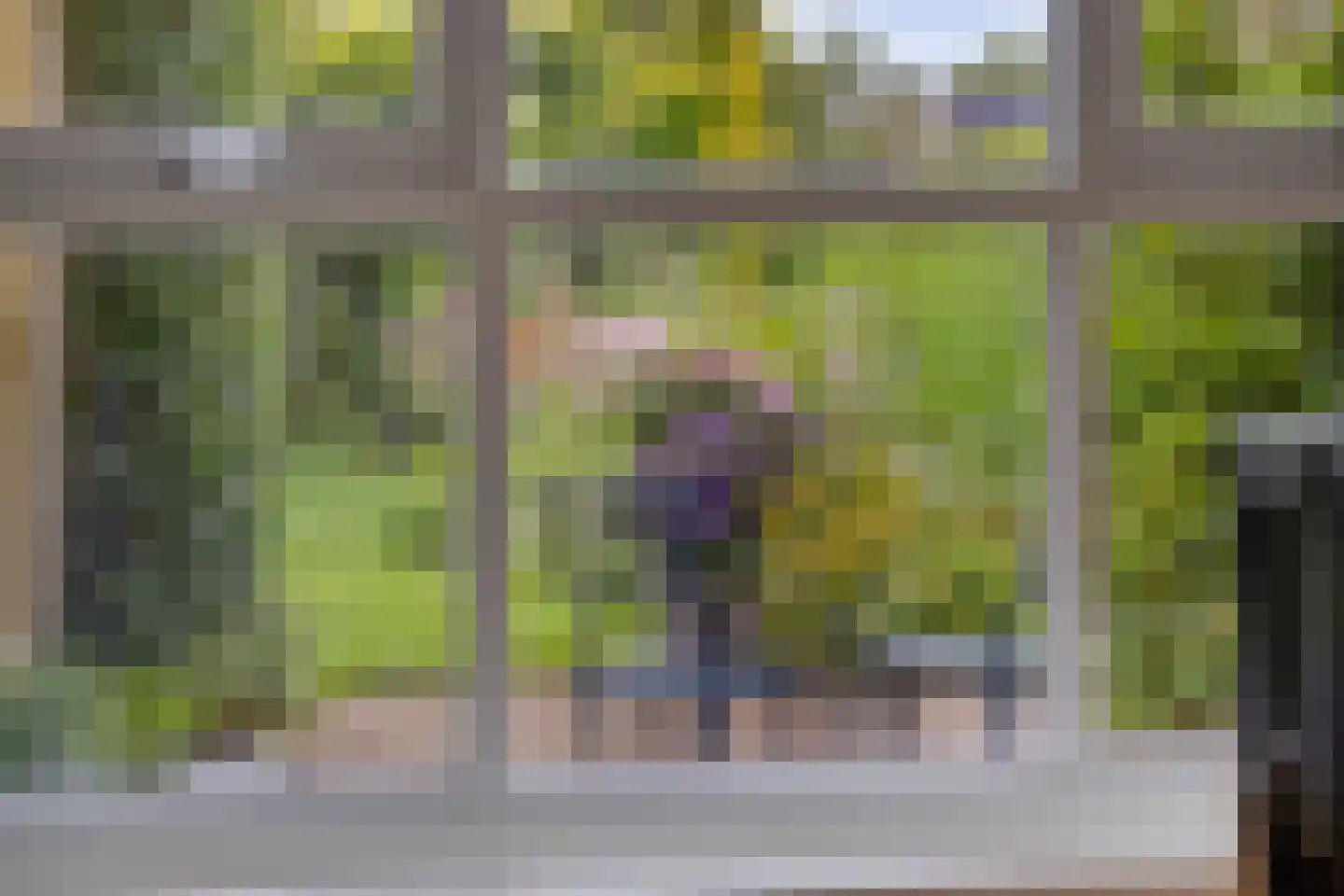 De Sporen 3 Zuidlaren thumbnail 23