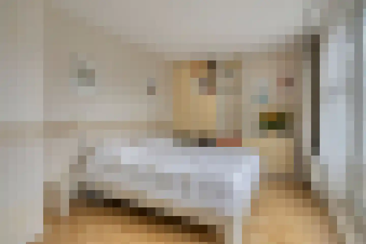 De Sporen 3 Zuidlaren thumbnail 32