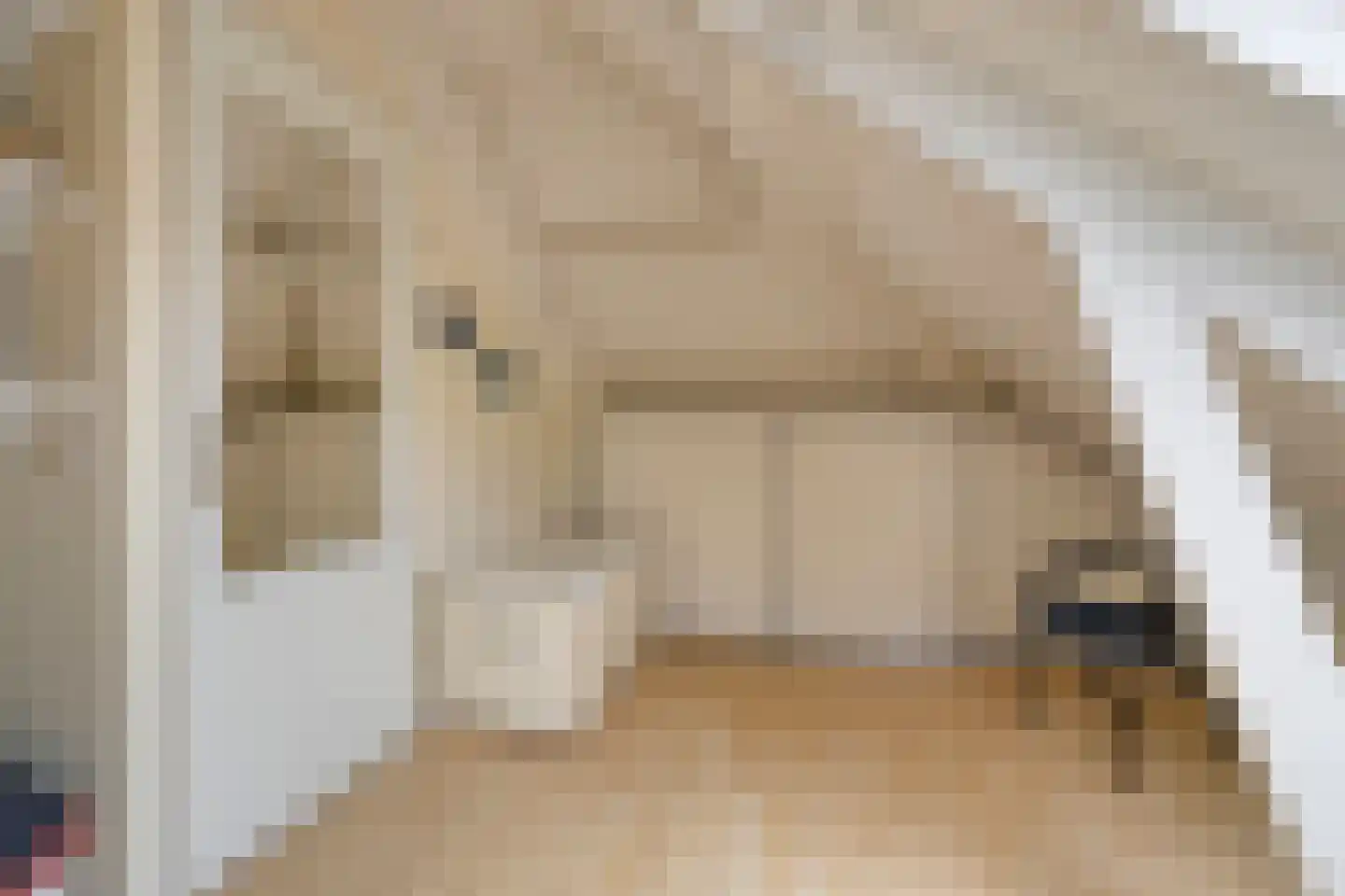De Sporen 3 Zuidlaren thumbnail 51