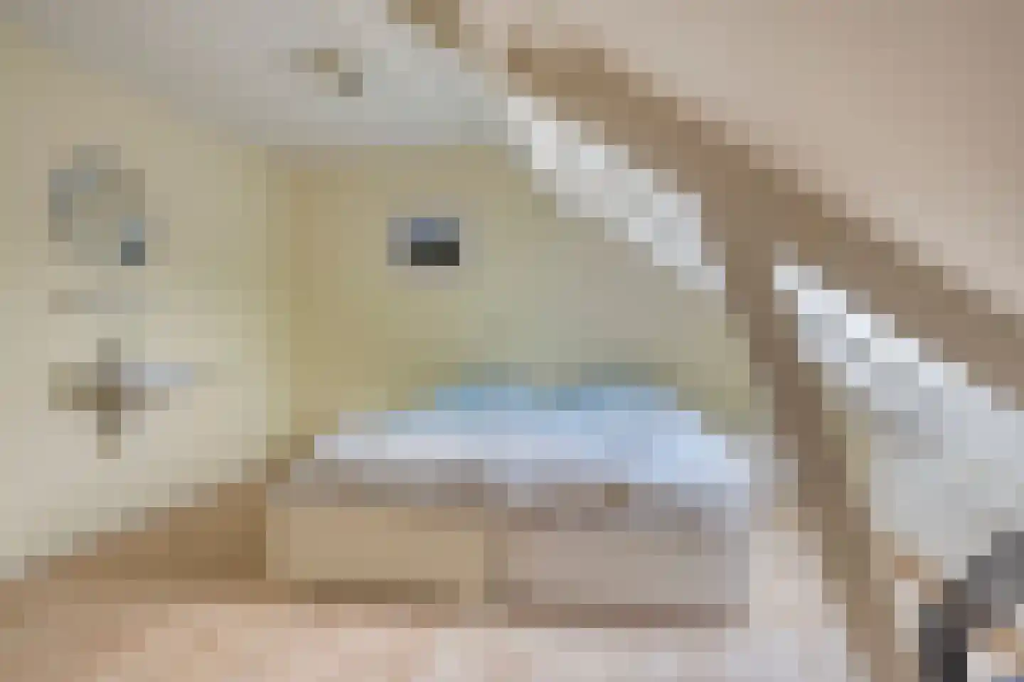De Sporen 3 Zuidlaren thumbnail 53