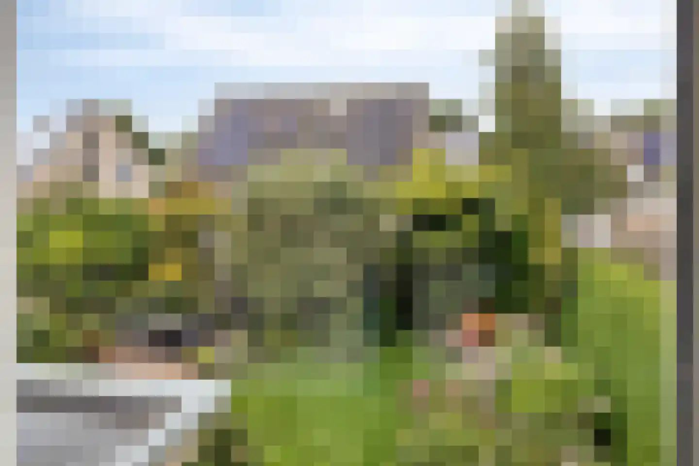 De Sporen 3 Zuidlaren thumbnail 57