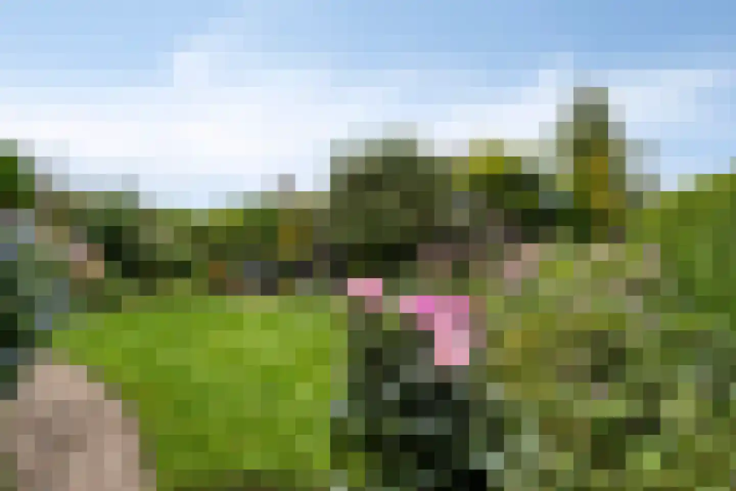De Sporen 3 Zuidlaren thumbnail 58