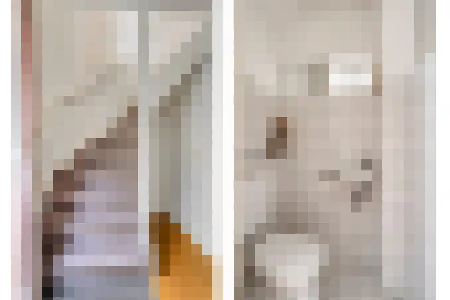 De Sporen 3 Zuidlaren thumbnail 6