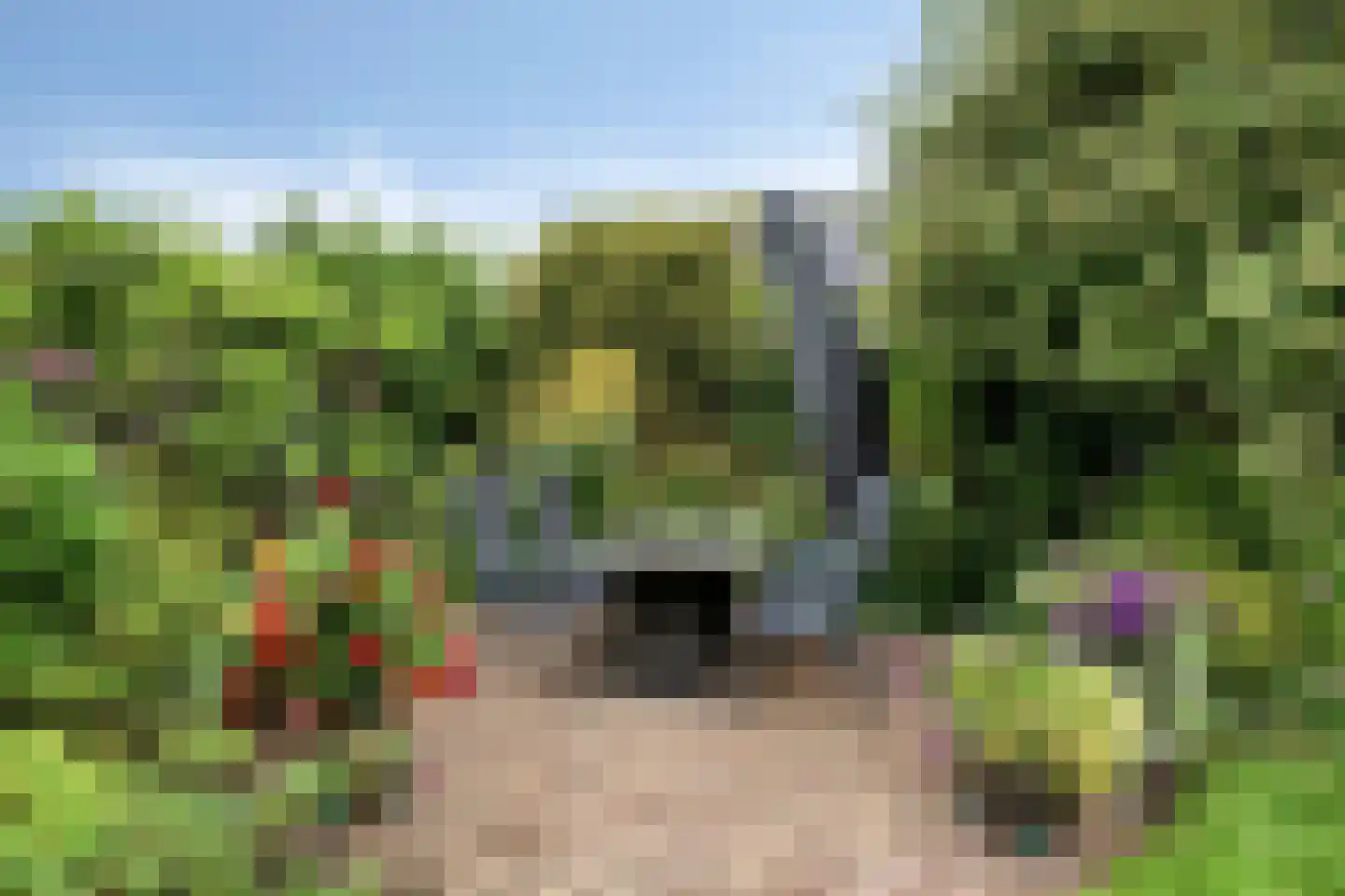 De Sporen 3 Zuidlaren thumbnail 60