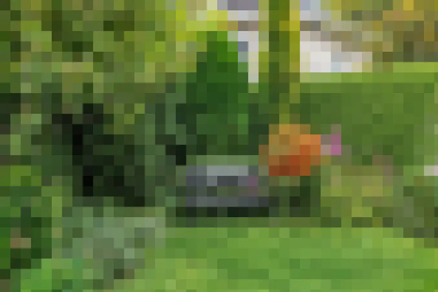De Sporen 3 Zuidlaren thumbnail 61