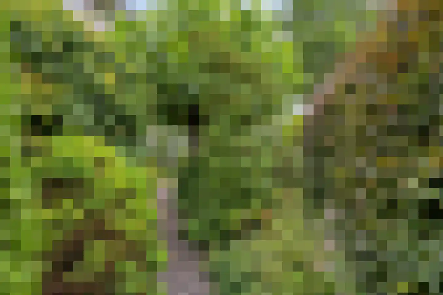 De Sporen 3 Zuidlaren thumbnail 63