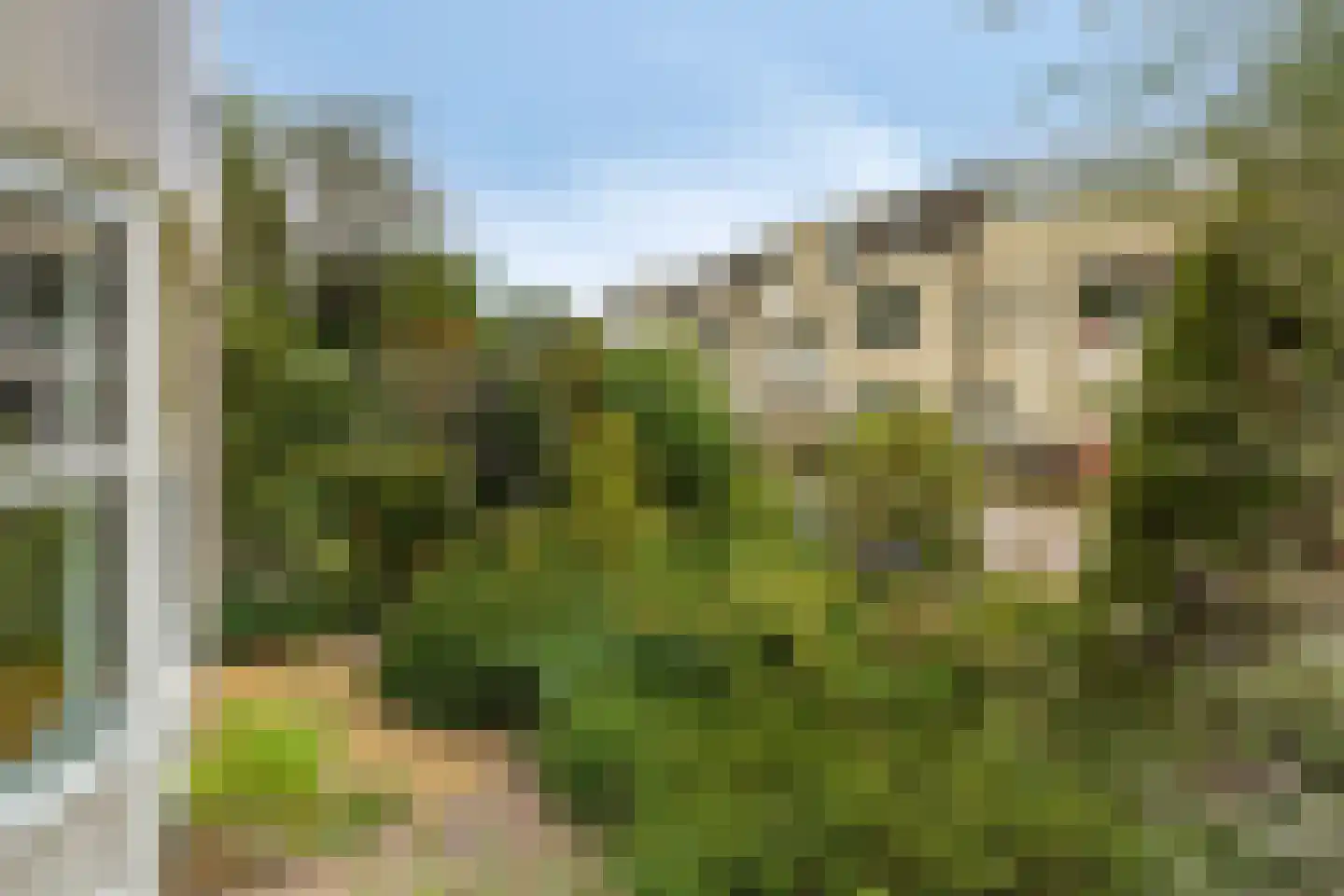 De Sporen 3 Zuidlaren thumbnail 66