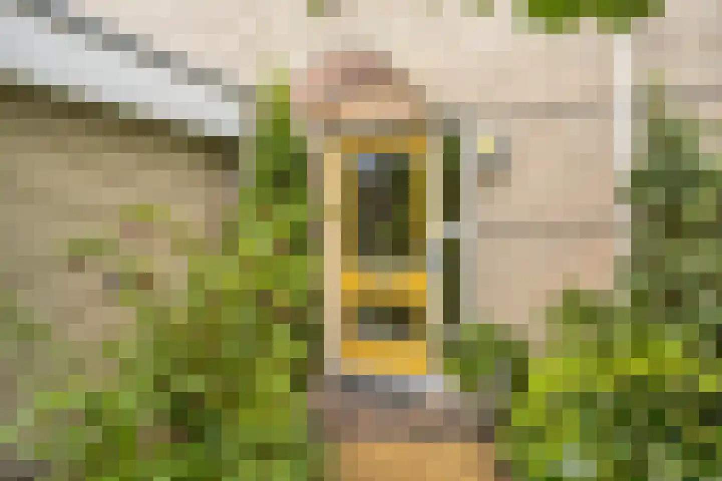 De Sporen 3 Zuidlaren thumbnail 78