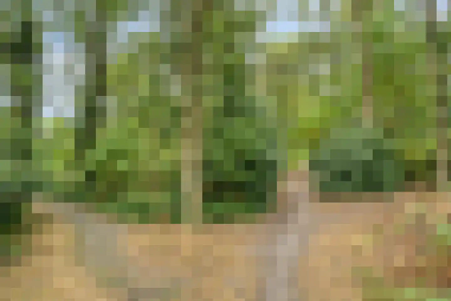 De Sporen 3 Zuidlaren thumbnail 79