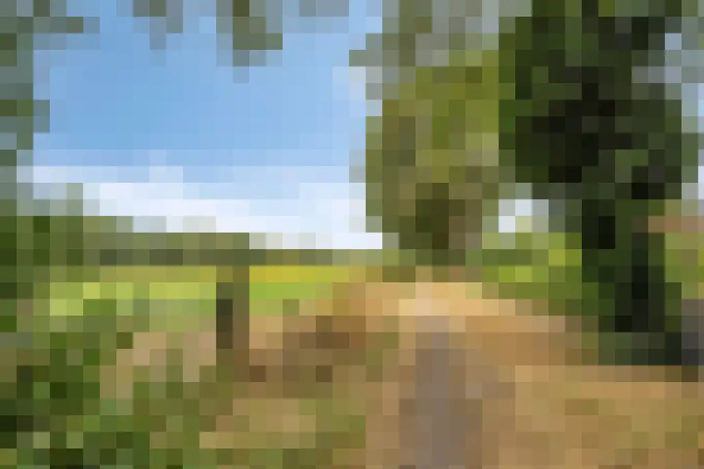 De Sporen 3 Zuidlaren thumbnail 80