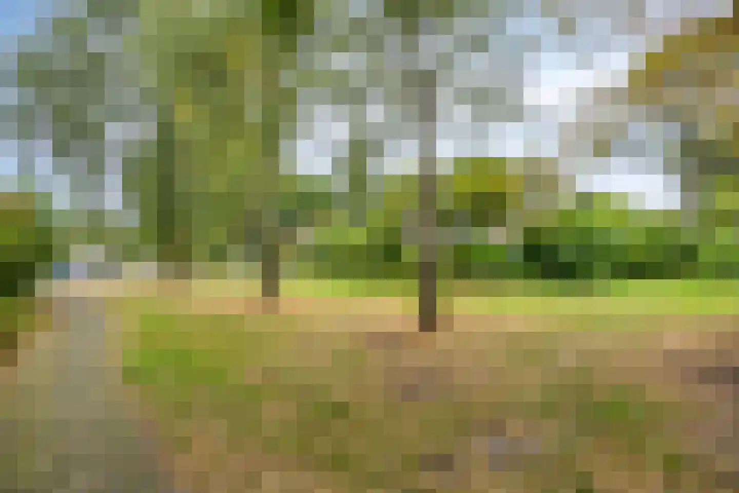 De Sporen 3 Zuidlaren thumbnail 81