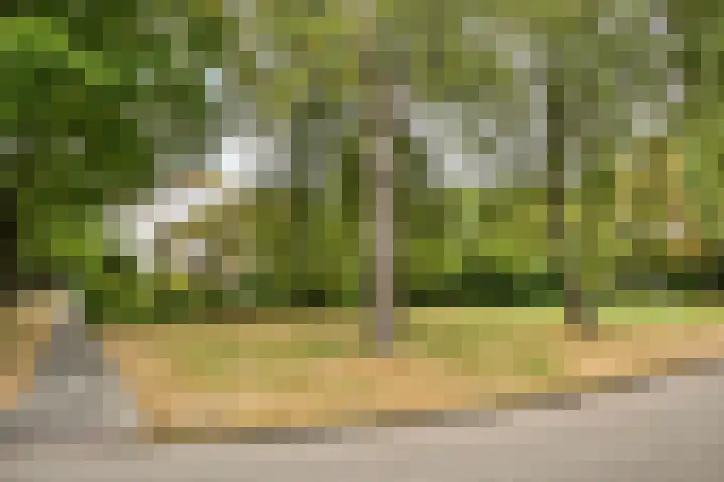 De Sporen 3 Zuidlaren thumbnail 83