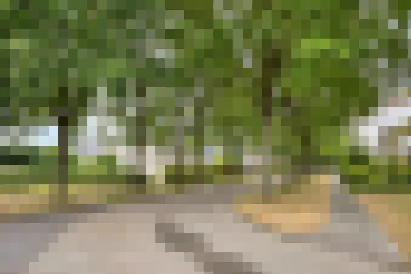 De Sporen 3 Zuidlaren thumbnail 84