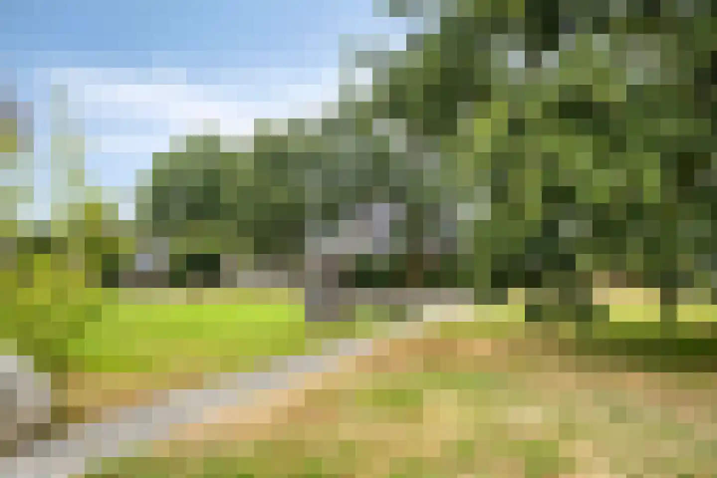 De Sporen 3 Zuidlaren thumbnail 85