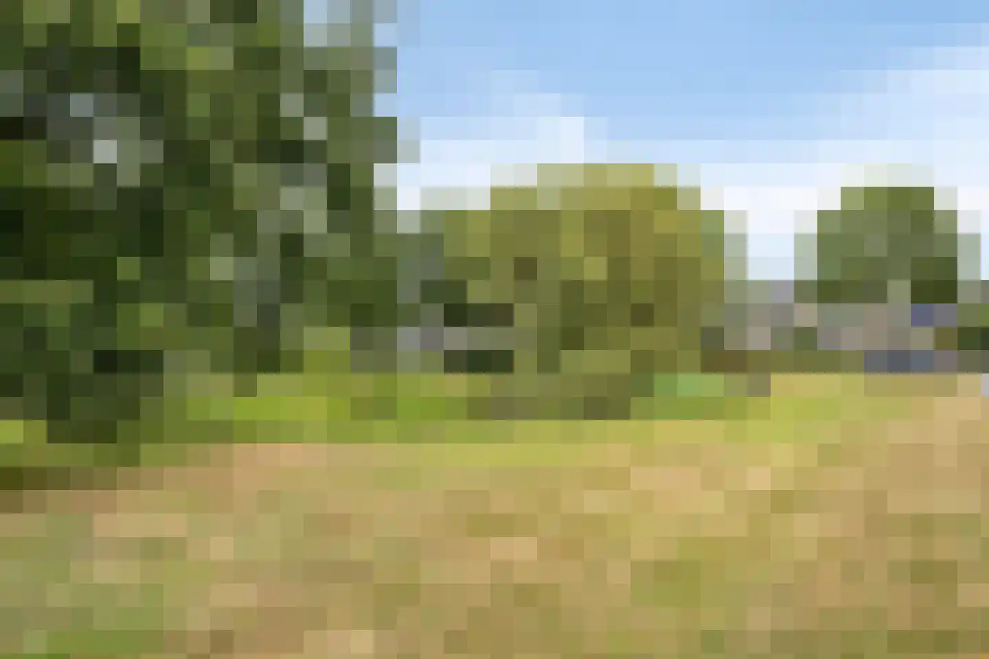 De Sporen 3 Zuidlaren thumbnail 86