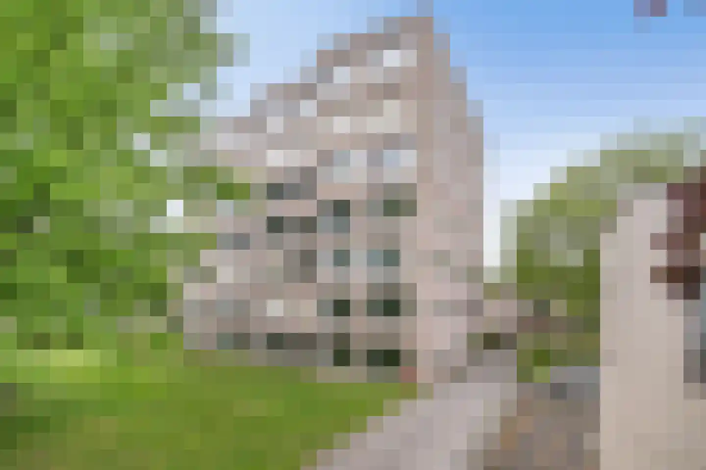 De Spreng 18 Apeldoorn foto 3