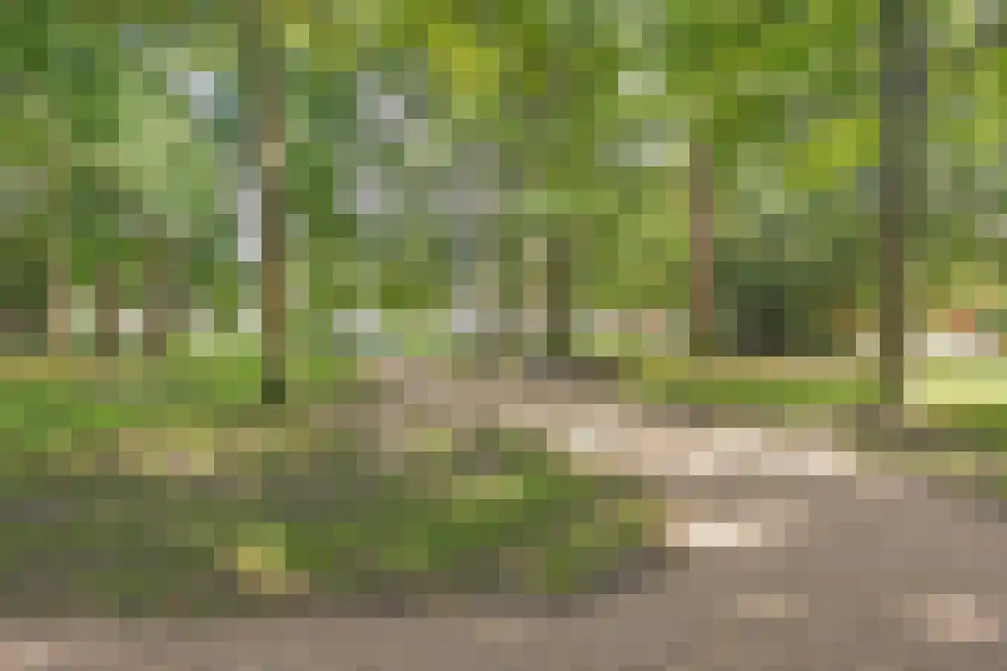 De Spreng 18 Apeldoorn thumbnail 39