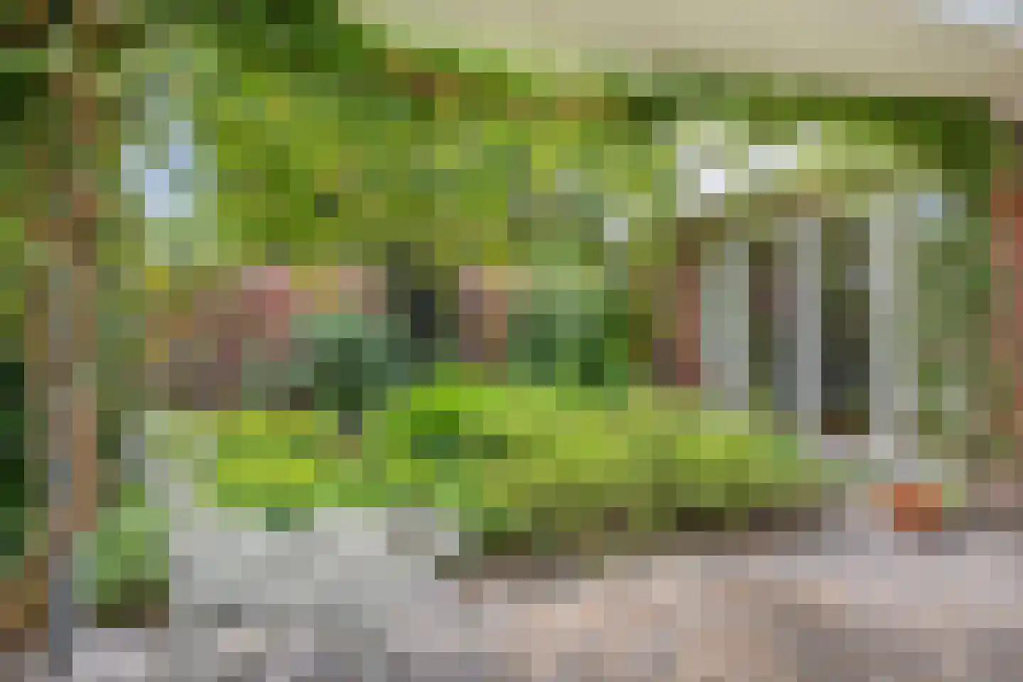 De Sprenkel 3 Sint Anthonis thumbnail 20