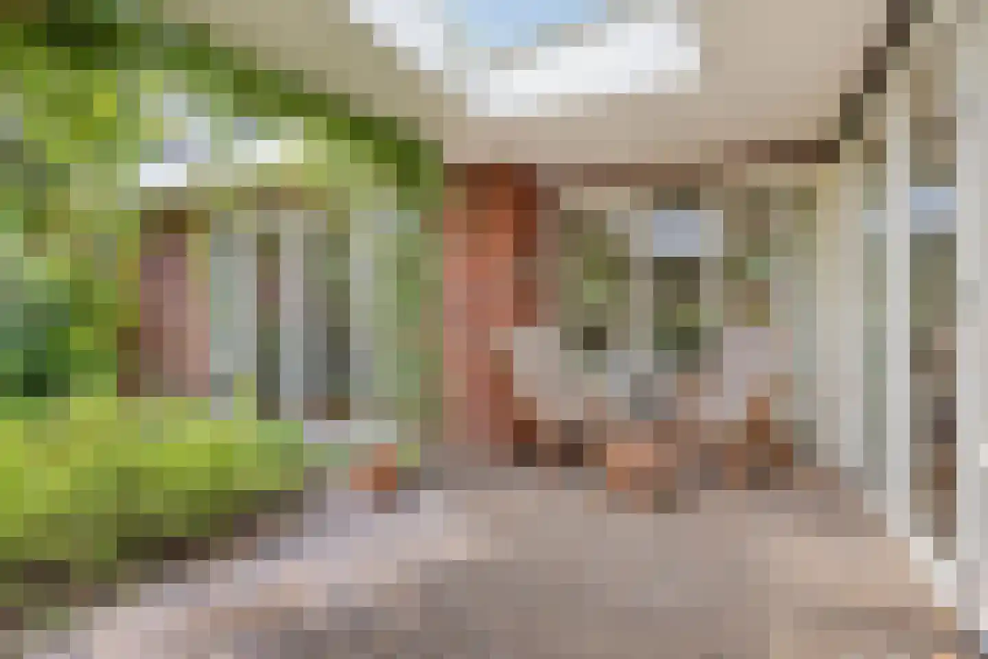 De Sprenkel 3 Sint Anthonis thumbnail 21
