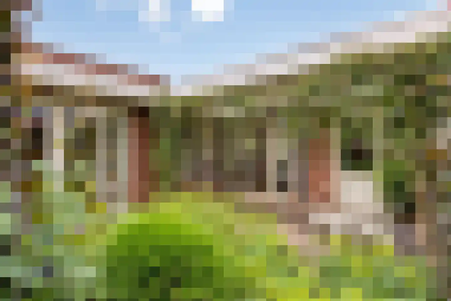 De Sprenkel 3 Sint Anthonis thumbnail 22