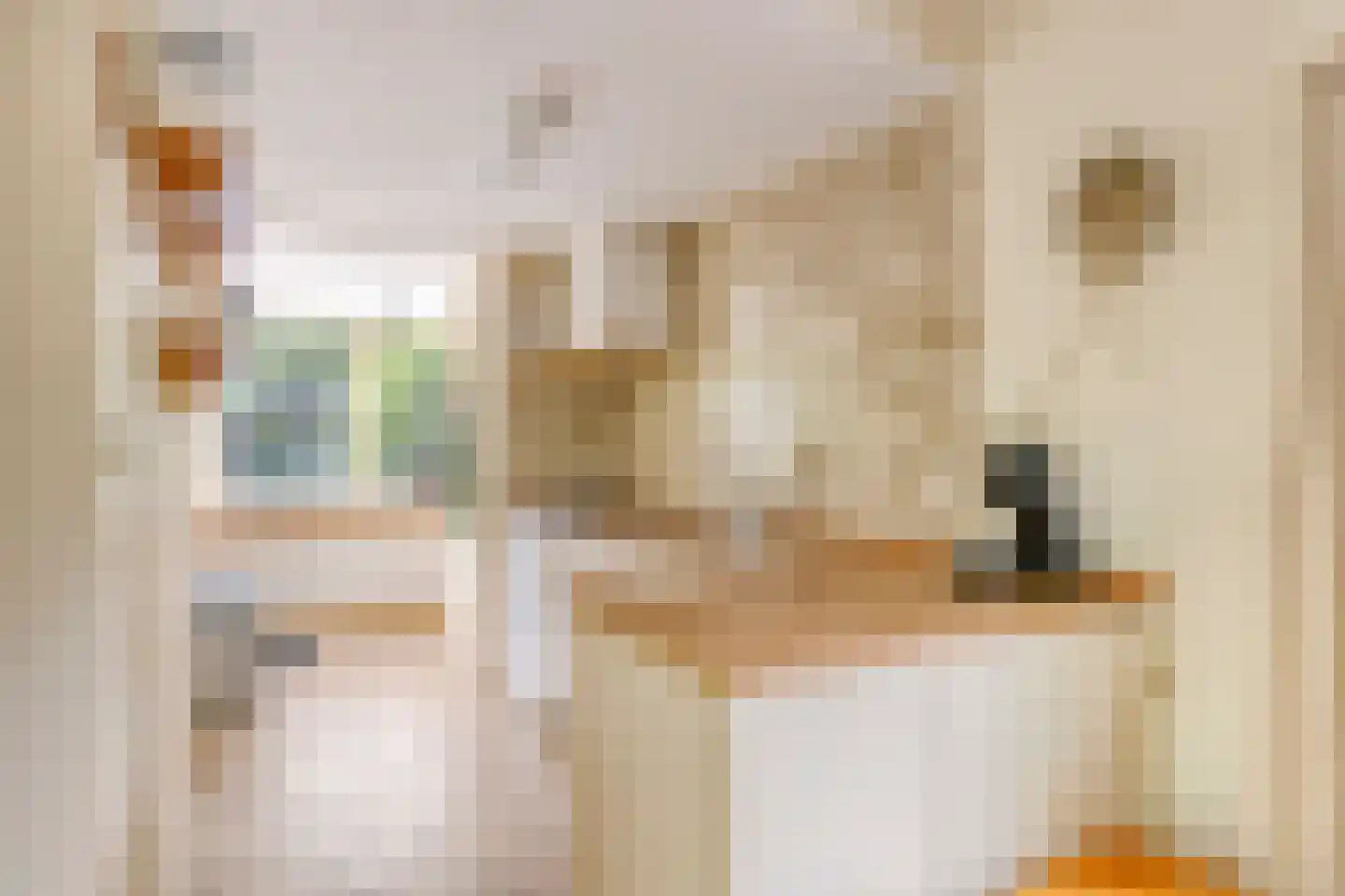 De Sprong 10 Renesse thumbnail 11