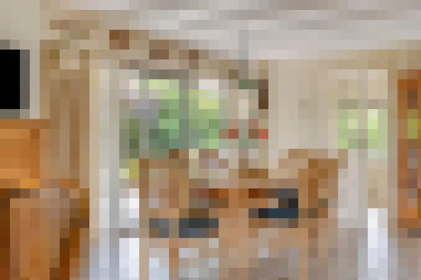 De Sprong 10 Renesse thumbnail 16